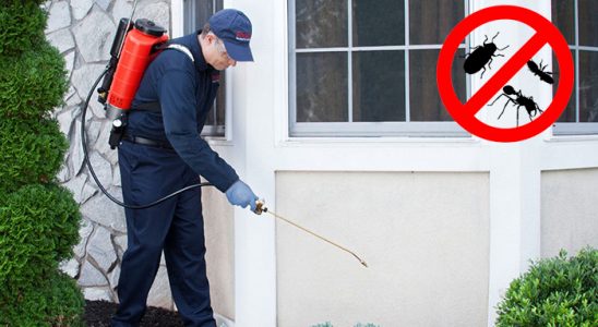 Çardak Haşere İlaçlama böcek ilaçlama ve haşere kontrolü — ilaclama-tr.com